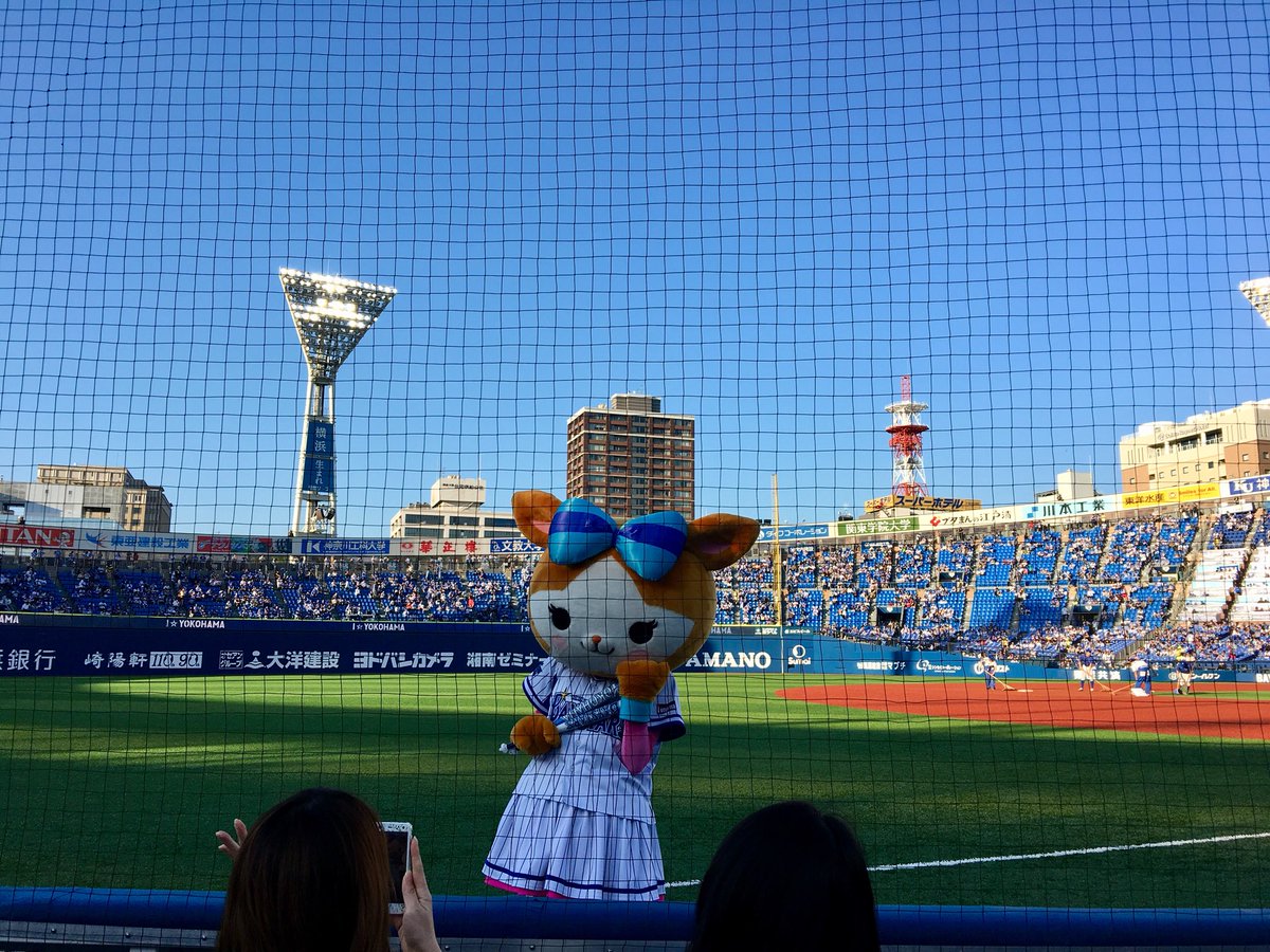 くーあん 今はスターマン バート チャピーの他にこのキララちゃんの４体がメインです 球団マスコットそれぞれ特徴あって面白いですよね