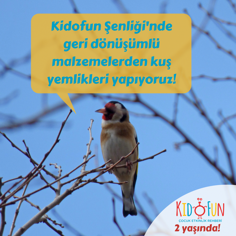 KidofunApp's tweet photo. Kidofun 2. Yaş Şenliği'nde önce "Nurcan Teyze ve Martıları"yla tanışıyor, sonra geri dönüşümlü malzemelerden rengarenk kuş yemlikleri yapıp ağaçlara asıyoruz. 
Rezervasyonunuzu yaptırmayı unutmayın!
İletişim: (507) 981 01 26
#Kidofun #Atölye #ÇocukEtkinliği #ÇocukEtkinlikleri https://t.co/oJINQvxhP6