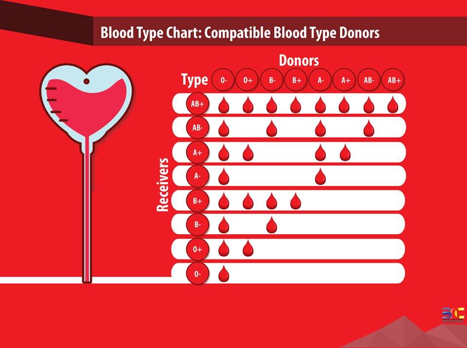 Blood Donor Compatibility Chart