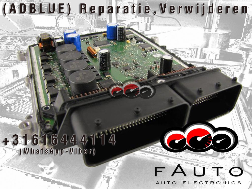 fauto19 tweet picture