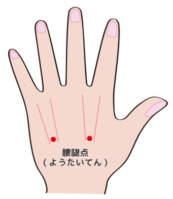ゆるゆるミカン 相互フォローします On Twitter 美容プチ情報 腰