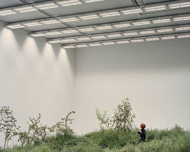 Australian Pavilion at Venice 2018 by <a href="/venicearchaus/">VeniceArchAUS</a> and @baraccowrightarchitects