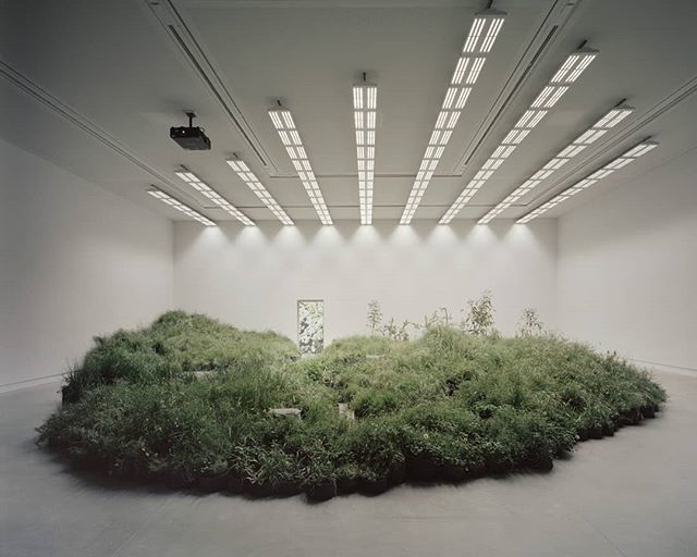 Australian Pavilion at Venice 2018 by <a href="/venicearchaus/">VeniceArchAUS</a> and @baraccowrightarchitects