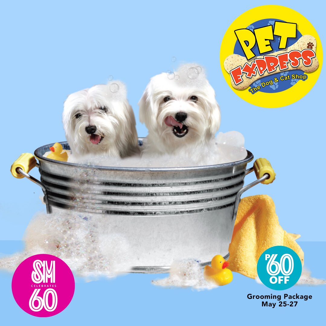 PetExpressPH's tweet photo. Hooray!!! SM turns 60. 🎁🎉🎈As part of the celebration, we will be giving P60 OFF on our grooming packages from May 25-27. Call the nearest SM PetExpress branch to set an appointment for pet grooming. 🐶🐱
#AweSM #PetExpress #dogs #cats #sale https://t.co/1Zu1Ptp8ba
