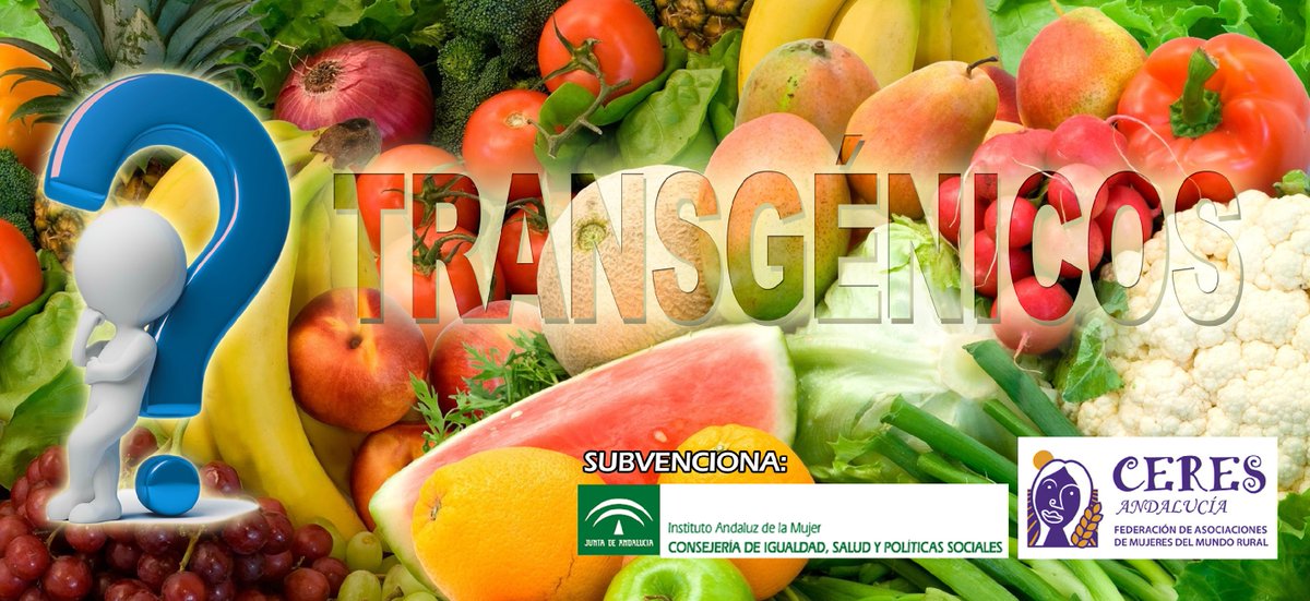 El próximo martes, 29 de mayo, estaremos acompañando a Confederación CERES en la Avenida de Lisboa de Andújar de 10 a 13 horas para mostrar nuestra postura contra los transgénicos y repartiremos hortalizas de temporada entre los asistentes. 
#COAGJaén #CERESJaén #Andújar #Jaén