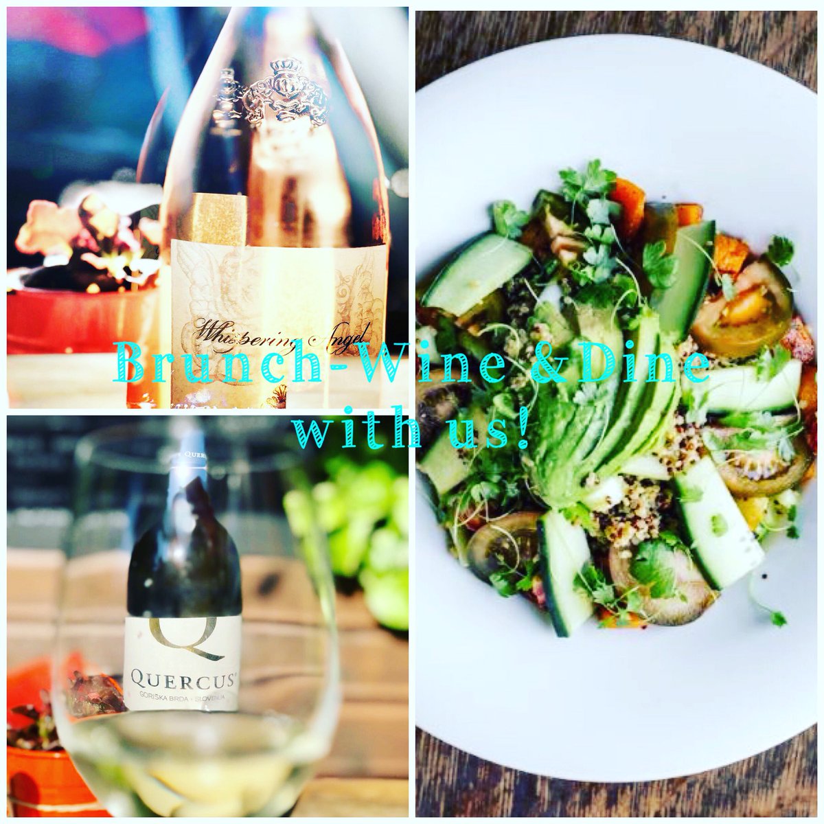If you like Pinot Grigio why not try #Quercus from #Slovenia or our outstanding rose #whisperingangel from #cotesdeprovence perfect with our brunch salads @berkmann_wine @youngspubs #dinewinestyle #winelovers🍷 #brunch #dinner #hampsteadheath
