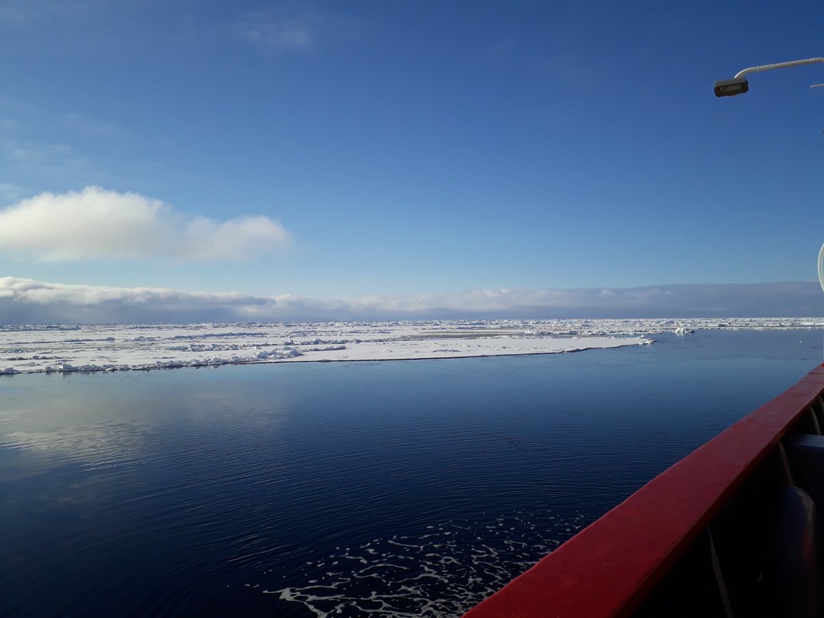 louiza_norman's tweet image. Heavy going through the ice to get as far west as we could and we happened upon this beatiful spot of open water on our transect line. Station F21 at 78 N, 9 W. Perfect for a bit of ship based #ArcticScience. @project_ARISE #DIAPOD @NERC_CAO #UKinArctic