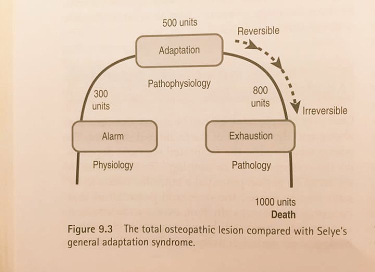 #totalosteopathiclesion #generaladaptationsyndrom #adaptation #alarm #exhaustion #physiology #pathophysiology #pathology #lesionosteopathiquetotale #osteopathy #osteopathe #osteopath #osteopathie