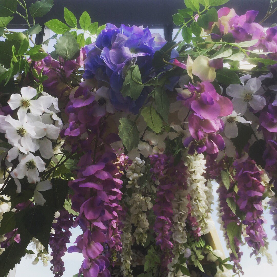 Springbank Flowers tweet media