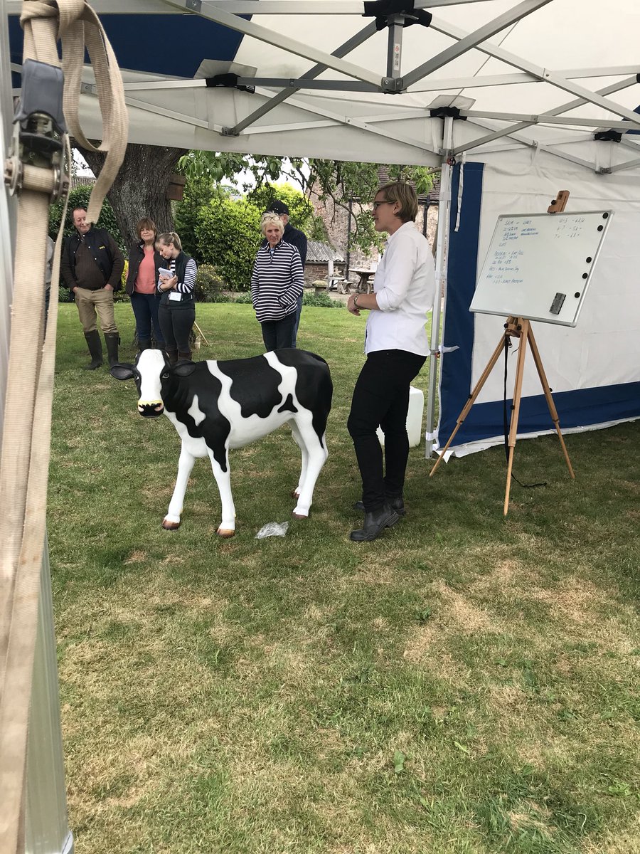 Rhianpricemedia's tweet photo. Vet Aly Anderson showing Farmers how to vaccinate correctly for pneumonia. The calf was very well behaved! ๐ #cattleperformance @Zoetis @XLVets @volac_ltd https://t.co/DphSSG9YhT