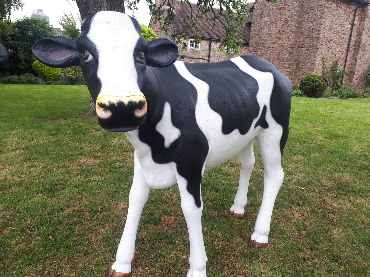 FarmersWeekly's tweet photo. Any name suggestions for our sinister-looking #cattleperformance workshop mascot?! #Dairy #calf #calfymccalfface https://t.co/nLulVaYX2Q