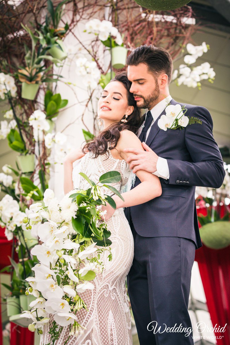 New: Wedding Orchid! The famous White World orchid, exclusively grown by <a href="/PietVijverberg/">Piet Vijverberg</a>, is perfectly suitable for wedding decoration. At this Twitter page we'll share lots of Wedding Orchid inspiration. Stay tuned! wedding-orchid.com