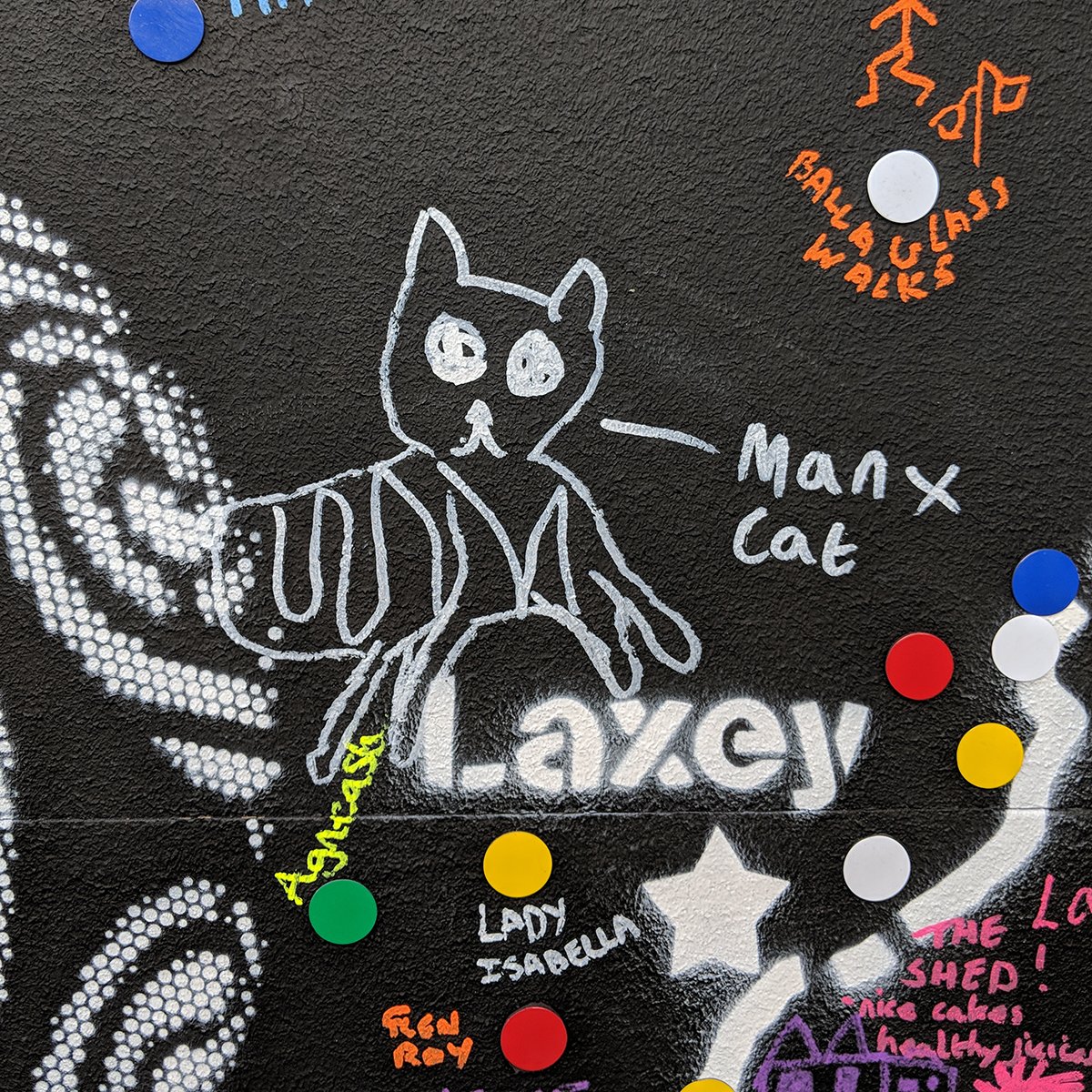 Our interactive magnetic blackboard for #islexpo and #yearofourisland. I've included my favourite entry of the day - a somewhat wonky #manx cat. I did wonder if it would all wash off it rained on the day but we didn't have to find out... #stencil #art #isleofman