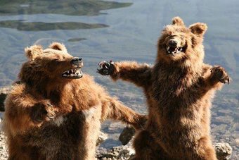 CrapTaxidermy's tweet image. When your Dad steps on a piece of Lego after you told him you cleaned your room...
