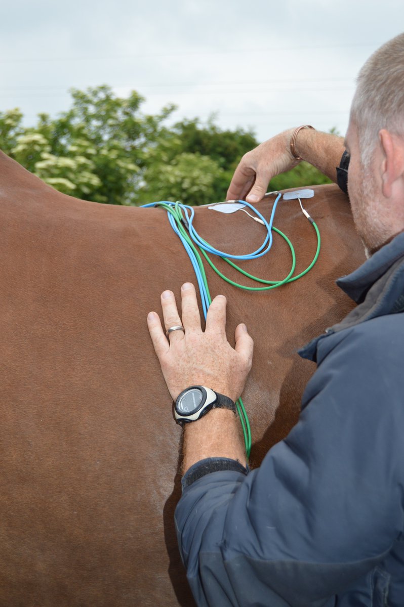 Busy, busy few days for us. In Oxfordshire by 6.30am. First up <a href="/roddersdodders/">Kylie Roddy</a>' eventing yard, then a couple of days with <a href="/SpennyWilton/">Spencer Wilton</a>. Love working with our fantastic clients #equinephysio #equine #physiotherapy