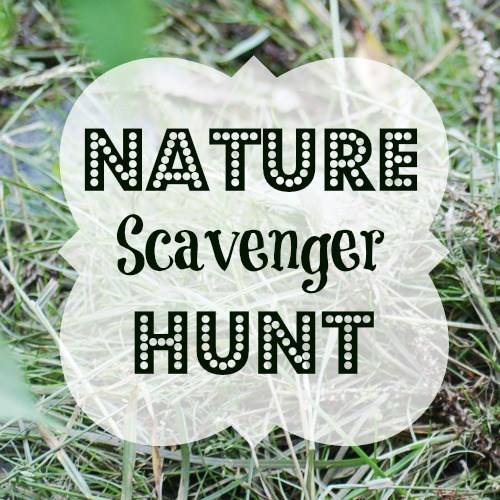 RumblesCP's tweet image. Join us here at Rumbles @ Vicar Water on Monday 28th May for a nature  scavenger hunt, Small prize for all children who are taking part. 
Activity sheets available from Rumbles (café) from 10am till 2pm, £1 per child. All sheets to be returned to café before 4pm to collect prize.