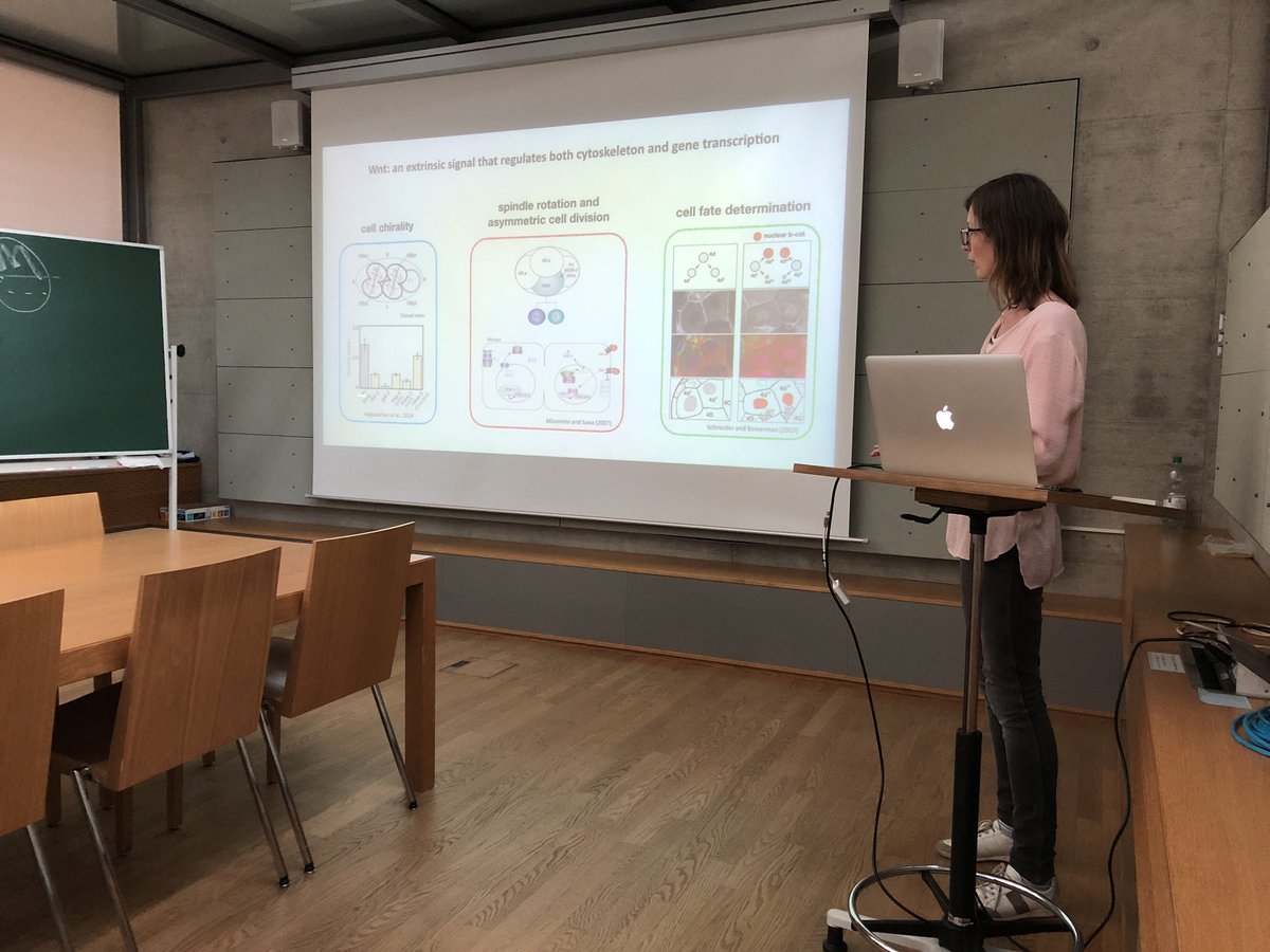 YWHsieh's tweet photo. @MHThorsager and I giving insights about mechanistic force generation and control of early spiralian development in @mpicbg #TissueMechanicsSeminar. https://t.co/WHFUTFSBIb
