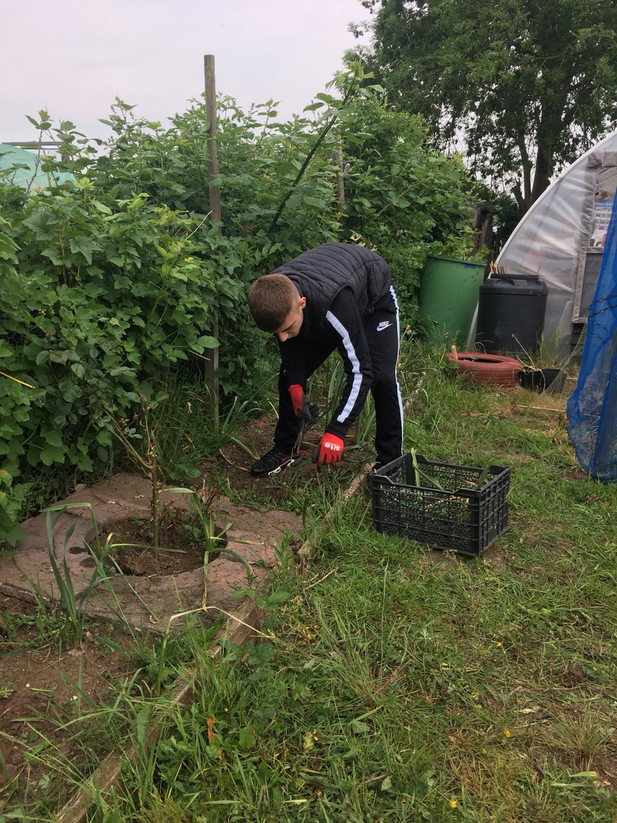 AspireAcadWorcs's tweet photo. Our KS4 Horticulture group have been working hard on our allotment this afternoon #rotavating #strimming #pruning - getting the plot ready for a busy summer period #APFree @CEC_Worcs @CEC_Matt https://t.co/xf7Knx0Wsj
