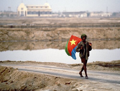 Tamerat Berhe, Esq. on Twitter: "Happy Eritrean ...