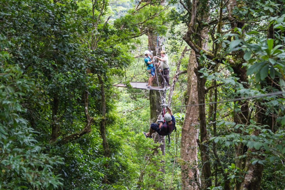 🚴‍♀🧗‍♂💚

➡ bit.ly/2IZIavA

#thelostforest #Colorado #travelling #naturelovers