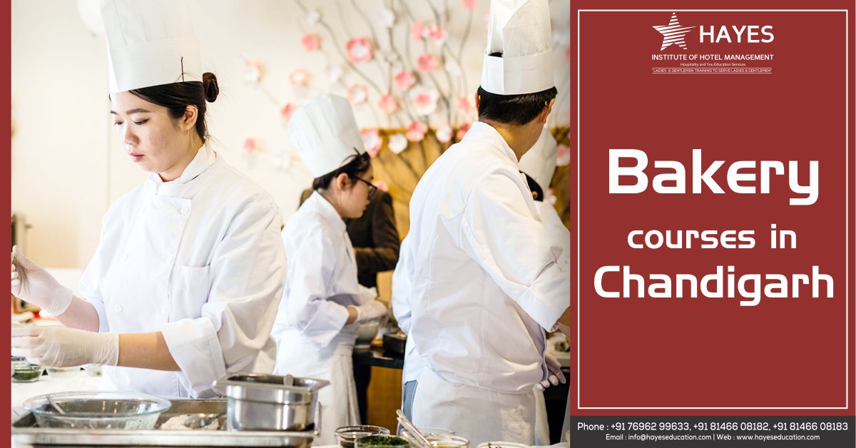 HayesEducation's tweet image. Join the best bakery courses in Chandigarh at Hayes Institute. 

To join visit - hayeseducation.com

#HM #Bakerycourses #bakeryclasses #bakerytraining #Chandigarh