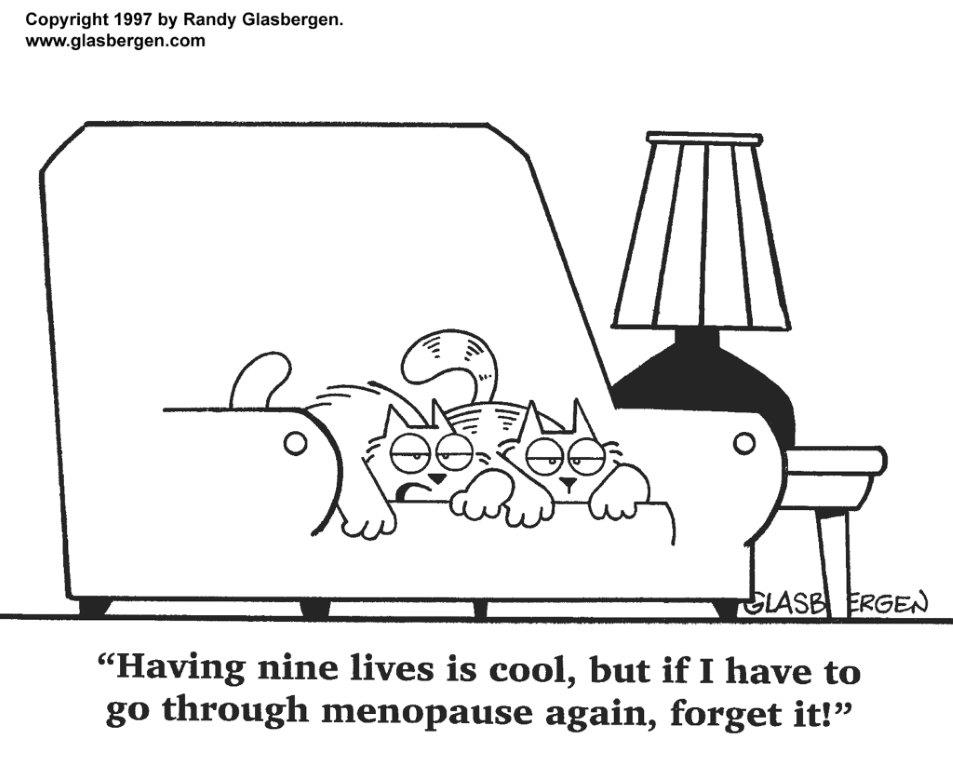 FemarelleUK's tweet image. What do you find the most frustrating thing about menopause?
#menopauseproblems #womenshealthmatters #keepingitreal
