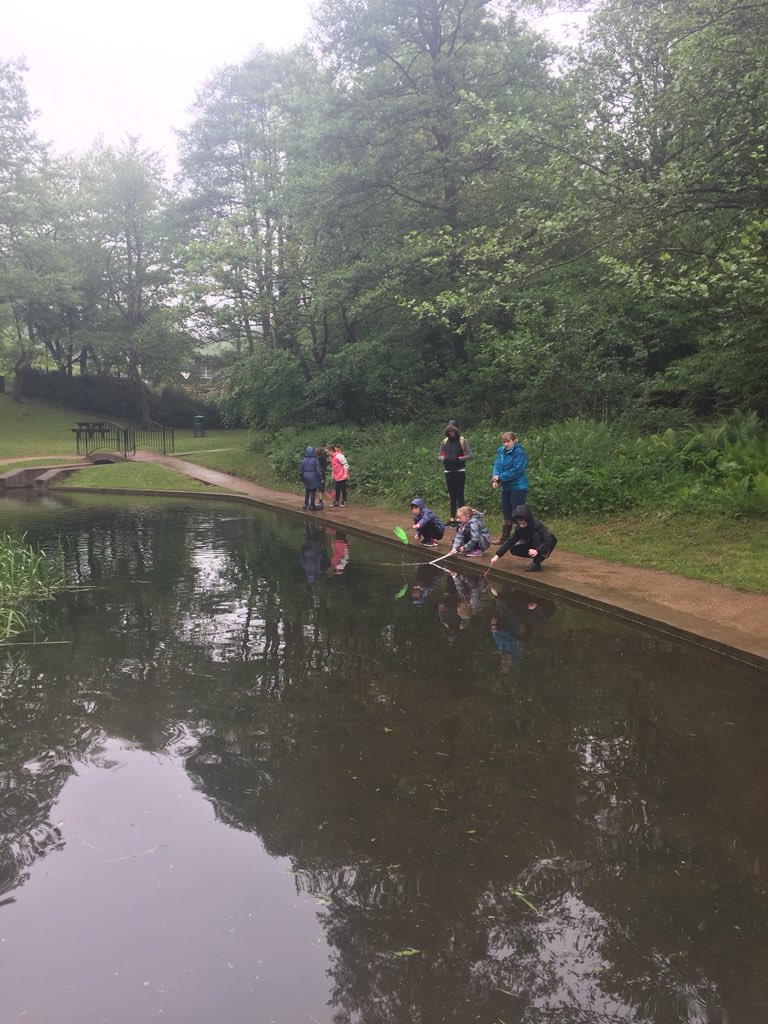 A wet session at Pontypool Park for our Y4 today. Careful observations are the order of the day. Thanks to Lucy &amp; friends <a href="/Griff_HEAD/">Griffithstown Primary School</a> <a href="/ppparkfriends/">PontypoolParkFriends</a> <a href="/GMCFED/">GMCF Education</a> #pontypoolcommunitycouncil
