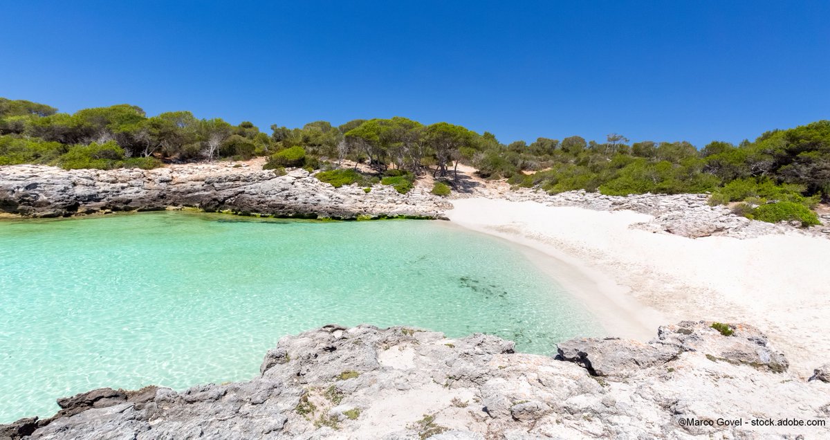 SkyWork Airlines tweet media