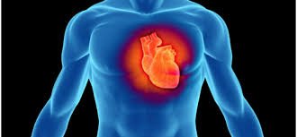 4dailymedicines's tweet image. Reduce Your #AcidityProblem
For more information read this blog post here: fordailymedicines.tumblr.com/post/174207049…