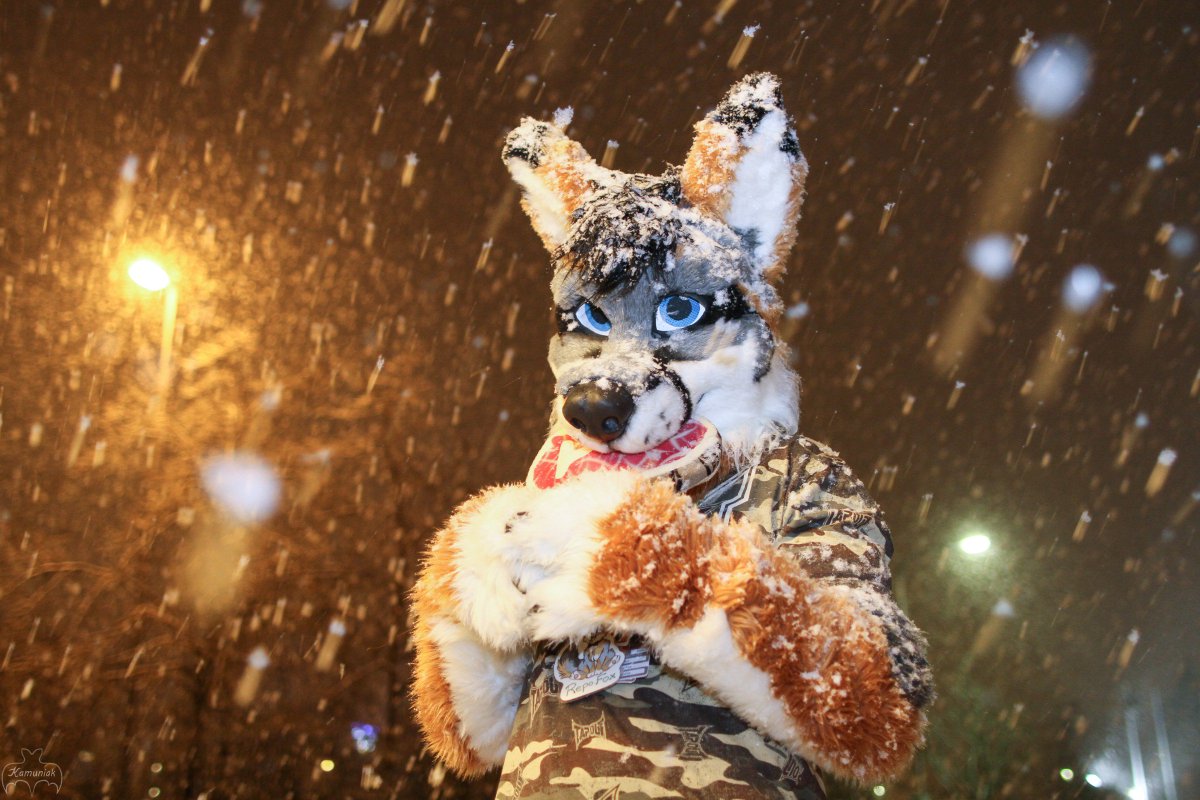 Kamuniak 🦇 tweet media