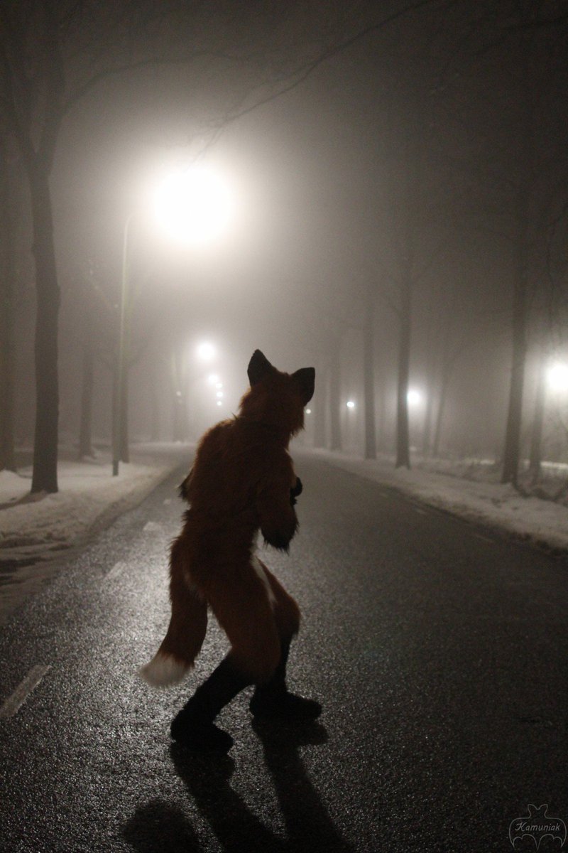 Kamuniak 🦇 tweet media