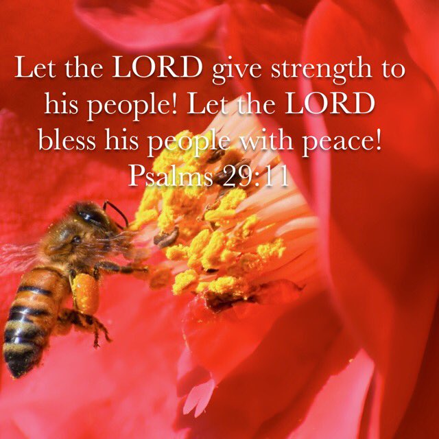 Leaksville UMC (LeaksvilleUMC) Twitter