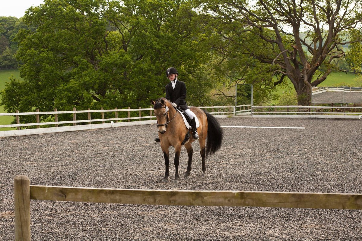 AEequestrian's tweet image. Some shots of Emmy and Honey from dressage at Penrhyd on Sunday #TheDressageHour #Ponyhour #dressagepony #dressagecompetition