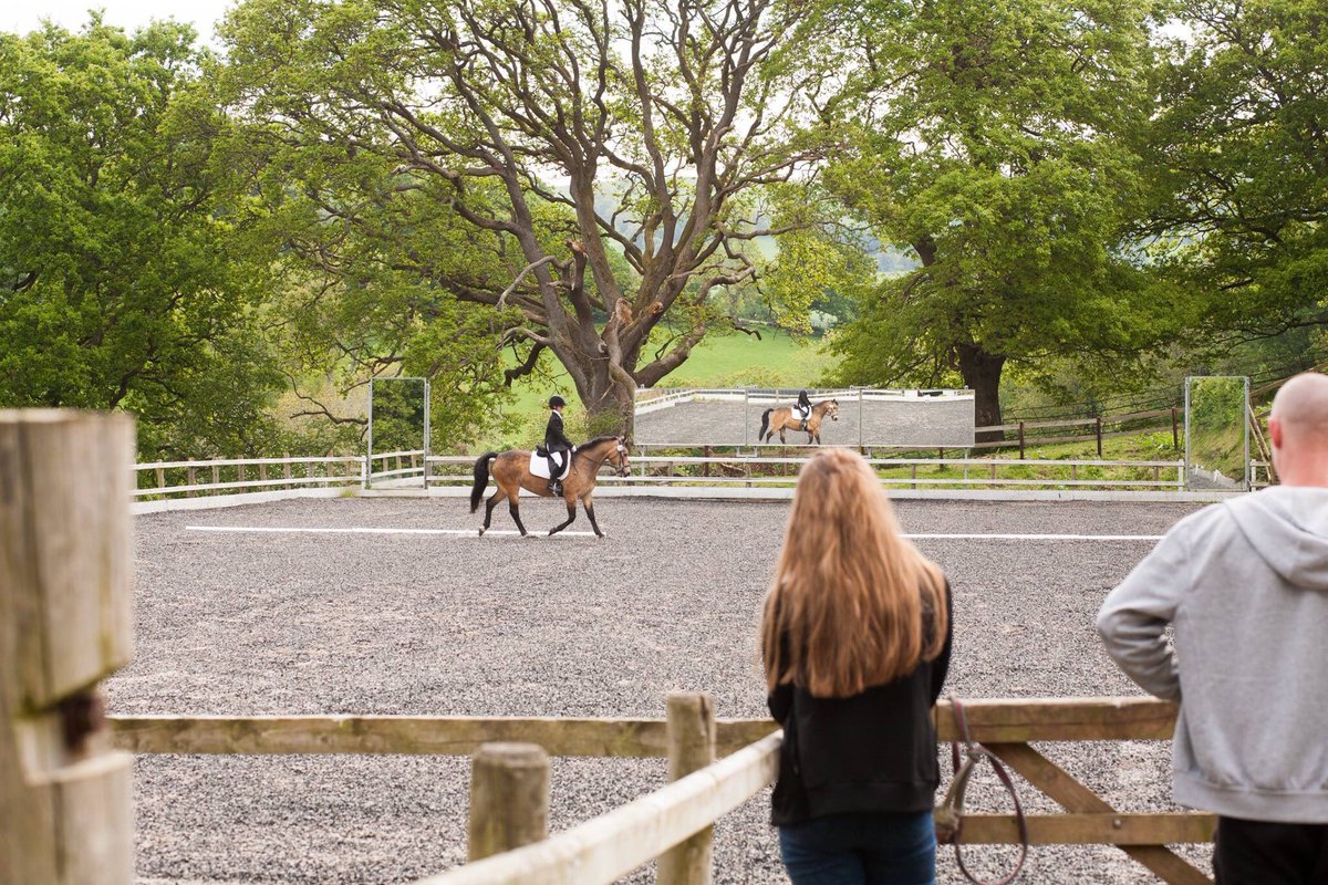 AEequestrian's tweet image. Some shots of Emmy and Honey from dressage at Penrhyd on Sunday #TheDressageHour #Ponyhour #dressagepony #dressagecompetition