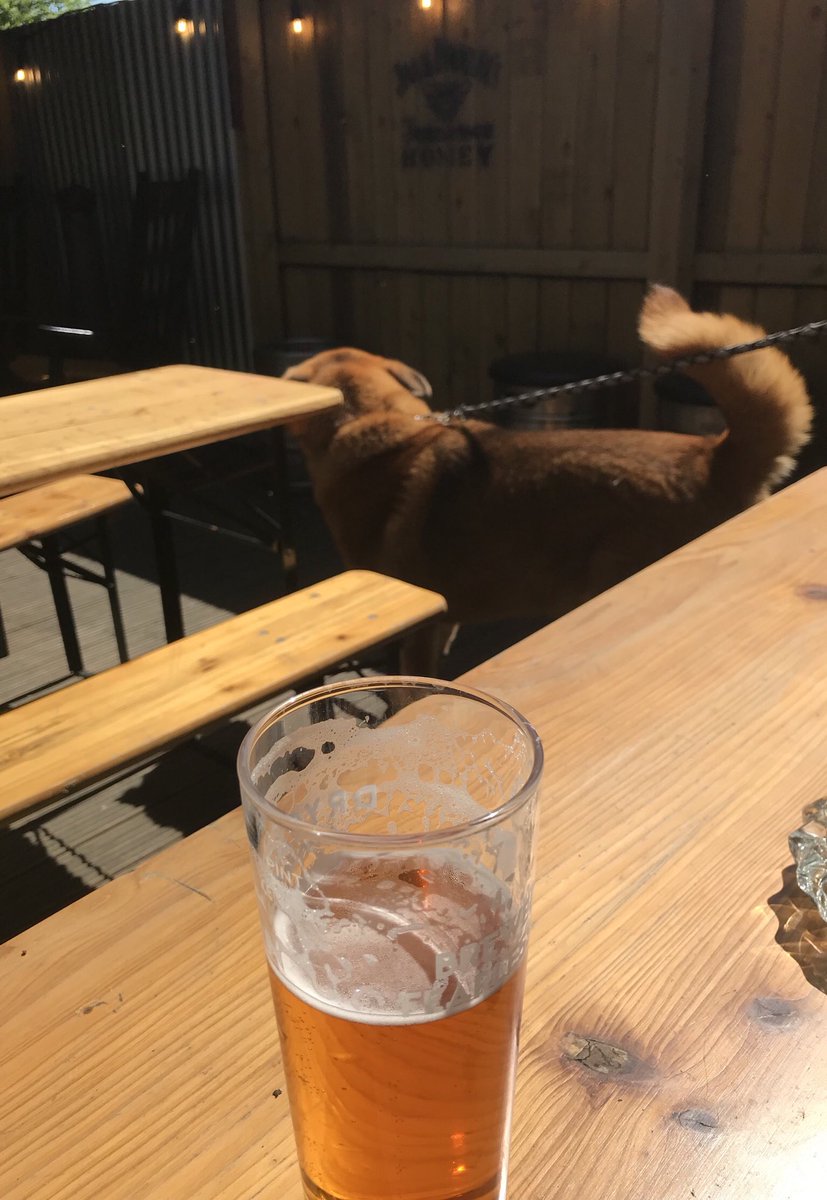 estachio's tweet photo. Lunchtime 🐻 #druminthesun #bearinthesun https://t.co/w4IuYnhlxR