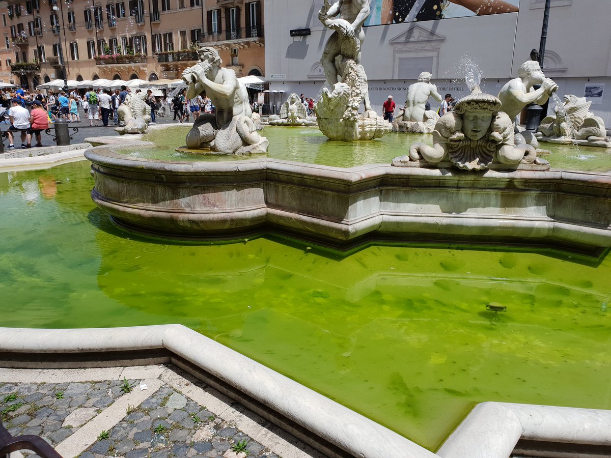 rome_set's tweet photo. Piazza Navona, ore 13, oggi.
ALLUCINANTE incuria.
Per mancanza di trattamento acque verdi piene di alghe deturpano monumenti unici al mondo a due passi dal #senato.
Basta
#setromefree
@reportrai3
@M5S_No_Grazie @SenatoStampa
@rep_roma
@AnsaRomaLazio
@virginiaraggi https://t.co/fBSwG3oi5q