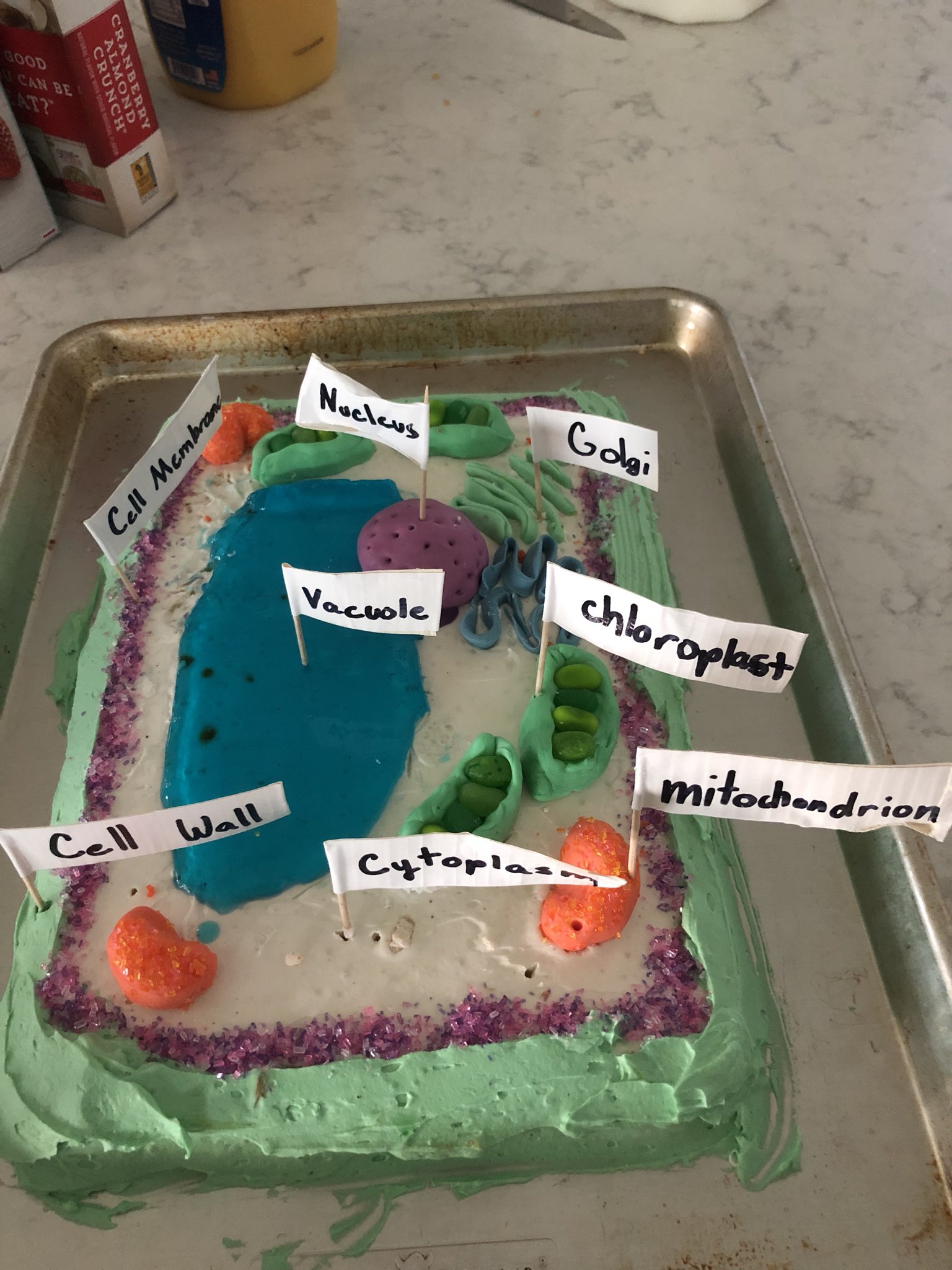 plant cell project cake ideas