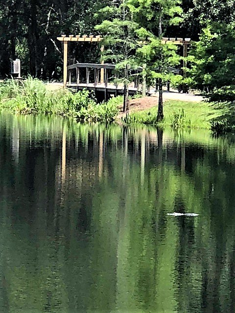 EACsciencedept's tweet photo. We are always welcoming new students to our adaptable learning environment! 🐊 #AllytheGator #Enviorment #Florida https://t.co/jxHHgkO8eC