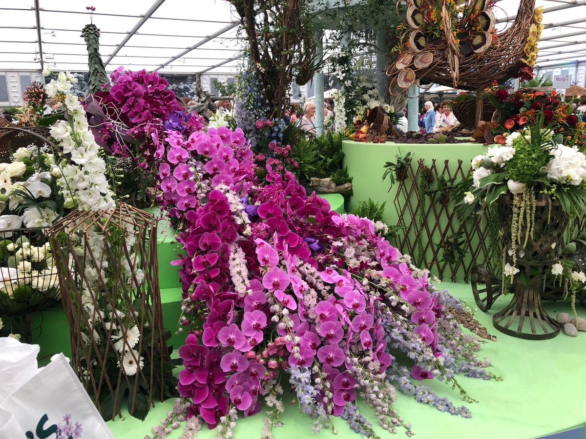 ClugstonFM's tweet photo. An absolute riot of colour at the Chelsea Flower Show.  An awesome event. 🌺😃 https://t.co/uOAmoBMMOM
