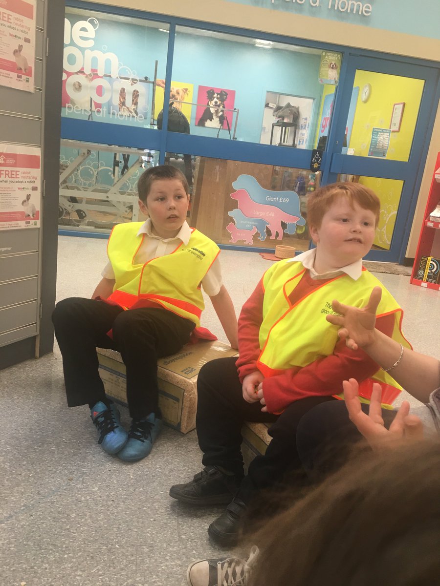 InchViewPS's tweet photo. Learning how to care for others and finding out about looking after a guinea pig#diamondaisy the baby guinea pig @PetsatHome Perth. Thank you Damien for all your help and making us feel very welcome! #learningoutoftheclassroom #makingconnections https://t.co/D9ibWcp9w3