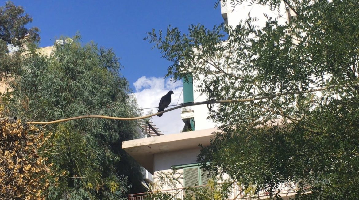 Shadiest reads in Ghent, birthday celebrations in Liège and Antwerp Art Weekend. Go do the right thing.

thewordmagazine.com/neighbourhood-…