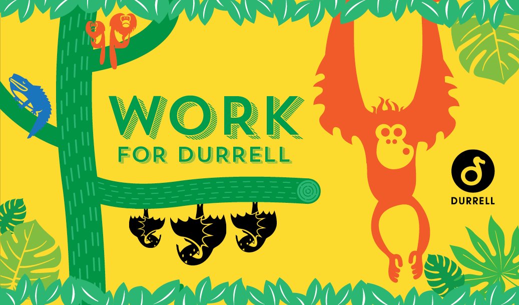 DurrellWildlife's tweet photo. Want to join the #DurrellTeam? We currently have a vacancy for a full-time Mammal Keeper. You can find out more about the role at https://t.co/ehRFhtPj5u Be quick – application deadline is tomorrow! https://t.co/PEiDEHwqZh
