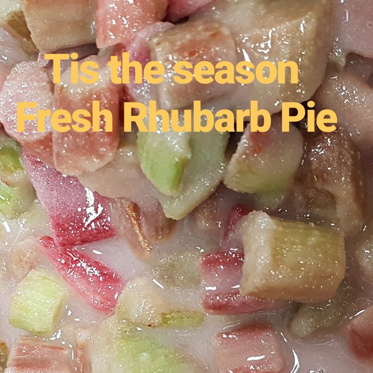 #justlovepie #eatlocalkw #freshrhubarb #fortheloveofpie