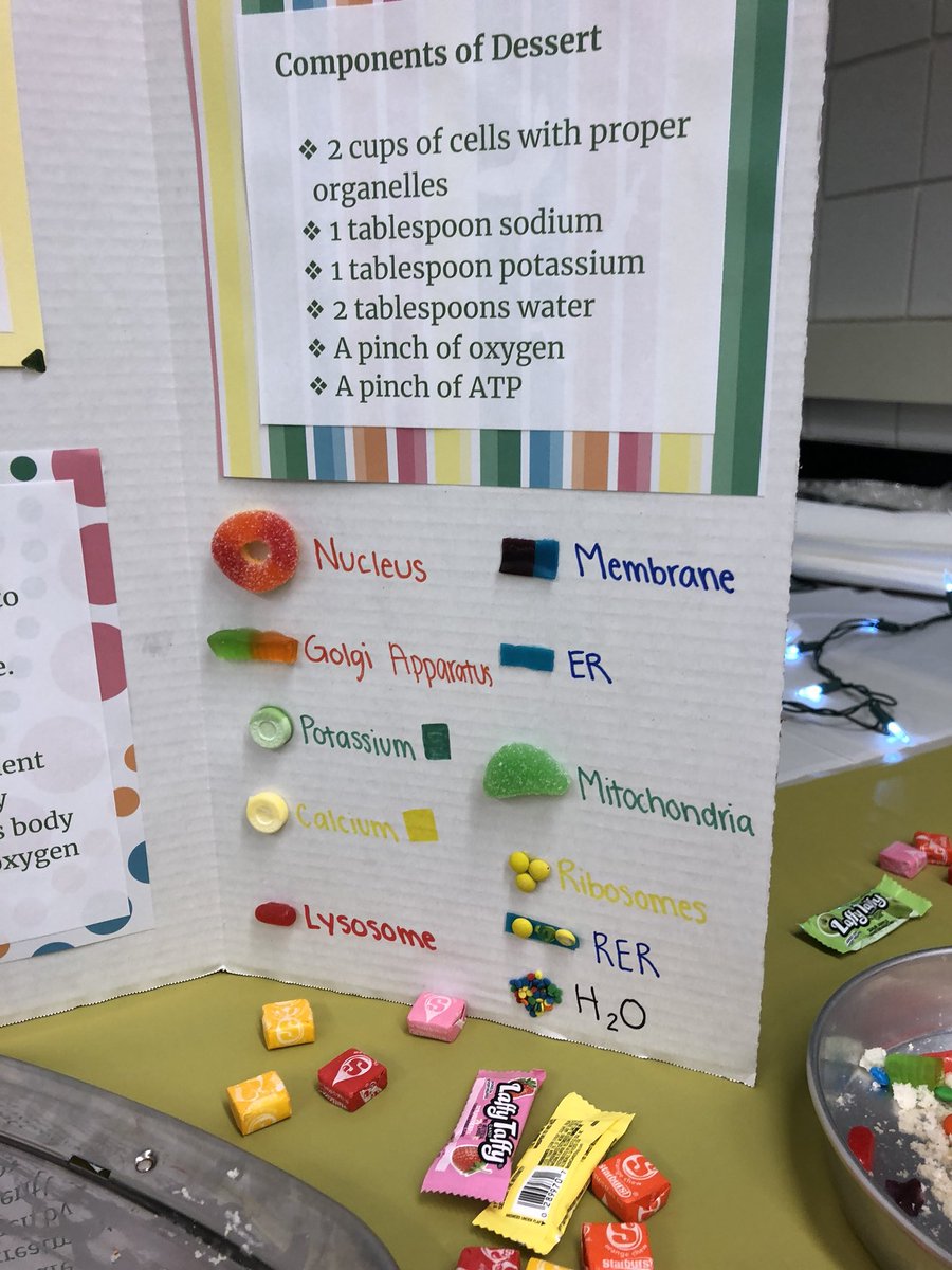 ClaireyWilliams's tweet photo. @SueSpeirs_RT Hypoxic Cells!!! #SweetTooth2018 https://t.co/RGhfHMOUEz