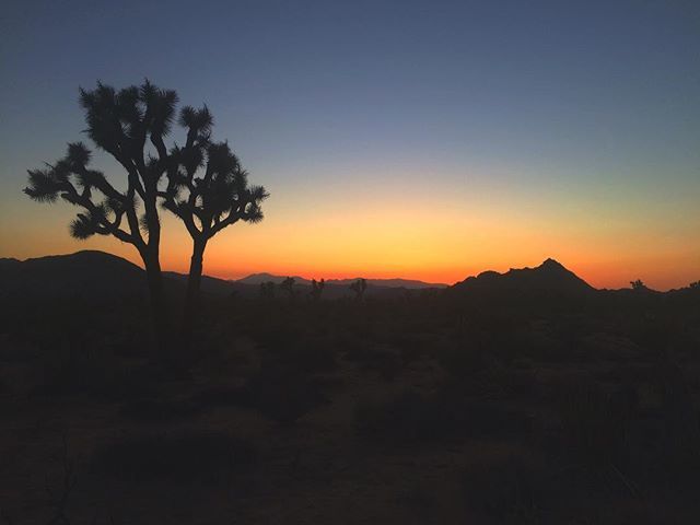 BLESSxSHAHMEN's tweet photo. Coyote and Cloud gamble in the desert. Cloud bets rain and Coyote clear weather.  #SHAHMEN https://t.co/0MgYWAG8Zj https://t.co/41ucYpx5Lz