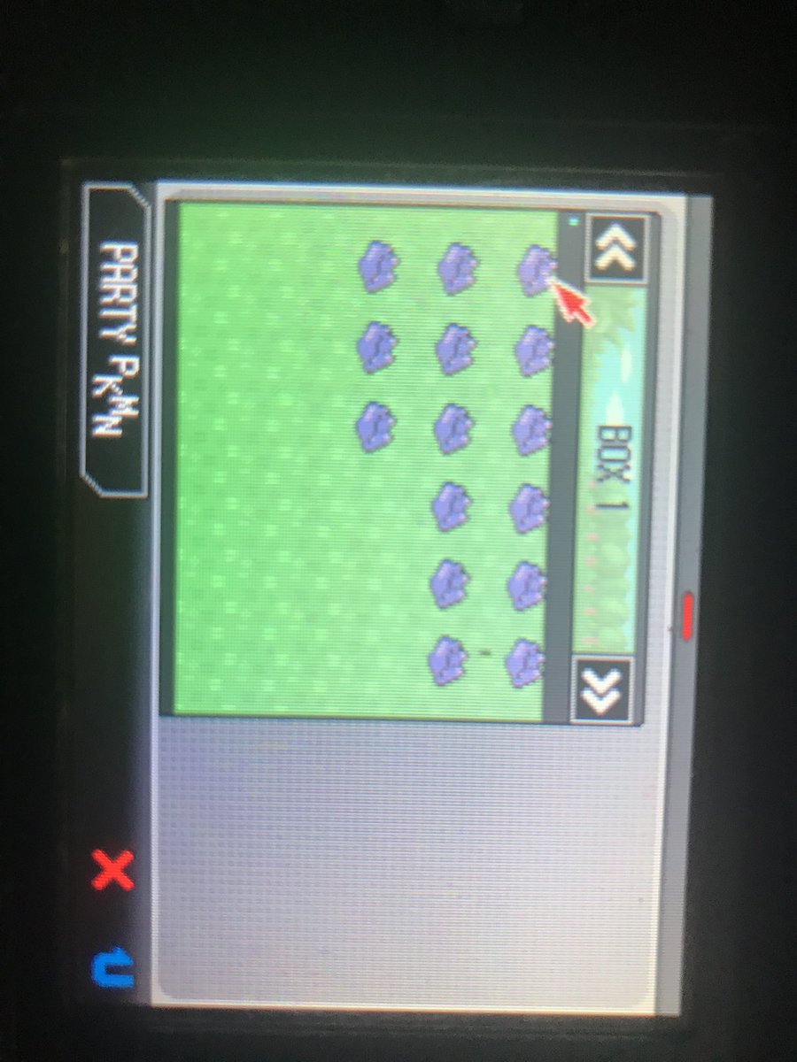 海外産6vメタモン