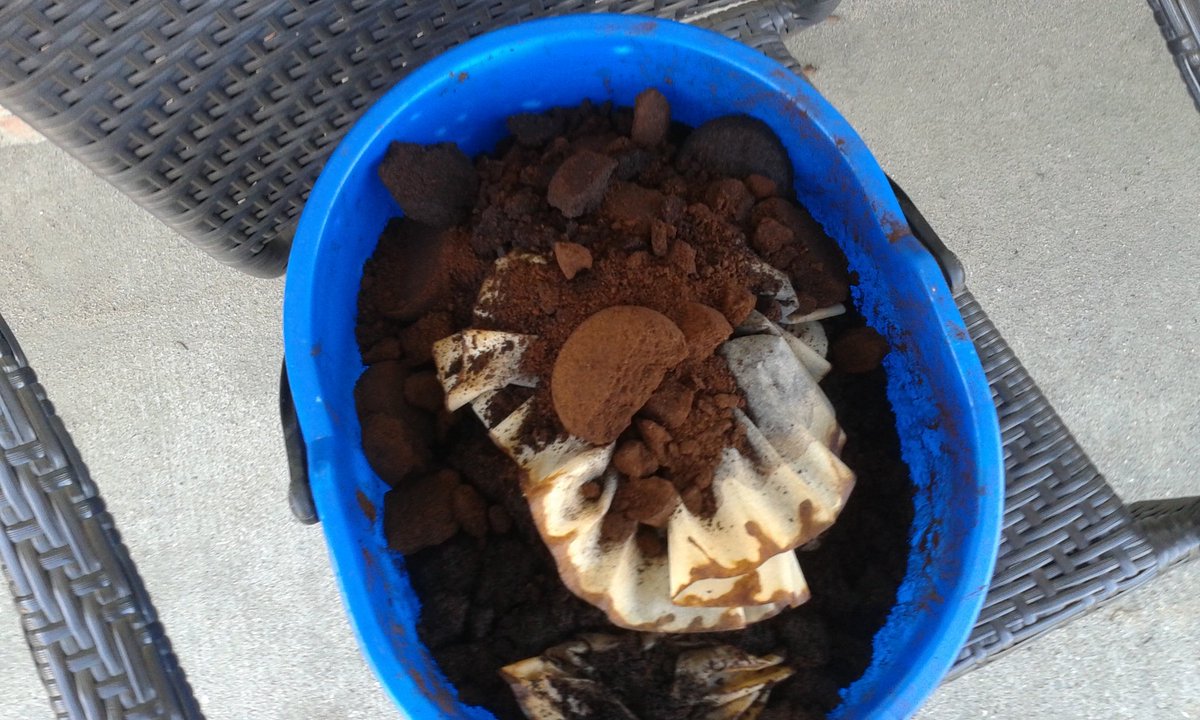 Java_Nation's tweet image. Gardening this weekend? Get some coffee grinds. Improves soil and prevents slugs. Bring a bucket, take a bucket.