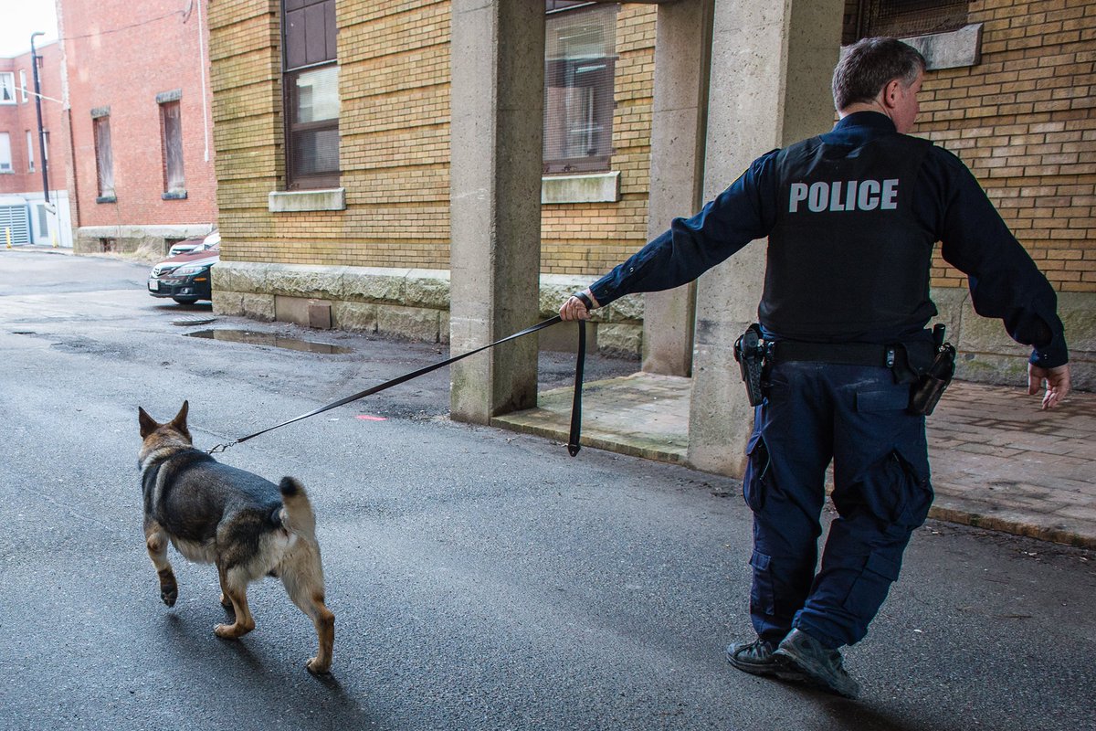 Saint John Police tweet media