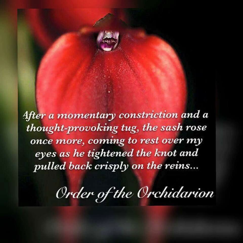 sweetsexyreader's tweet photo. Order of the Orchidarion
(A Crimson Confession #3) 
#JDLexx 
#orderoftheorchidarion #GiftedOrchidologist #seduction #BookRecommendation 
Amazon https://t.co/R6MWD42CN0
B&amp;N
https://t.co/OlLXbjTVm8 
Goodreads page - https://t.co/4Ag8xO35vm
Website - https://t.co/U61qFLTzrq https://t.co/1PiDMQZx6j