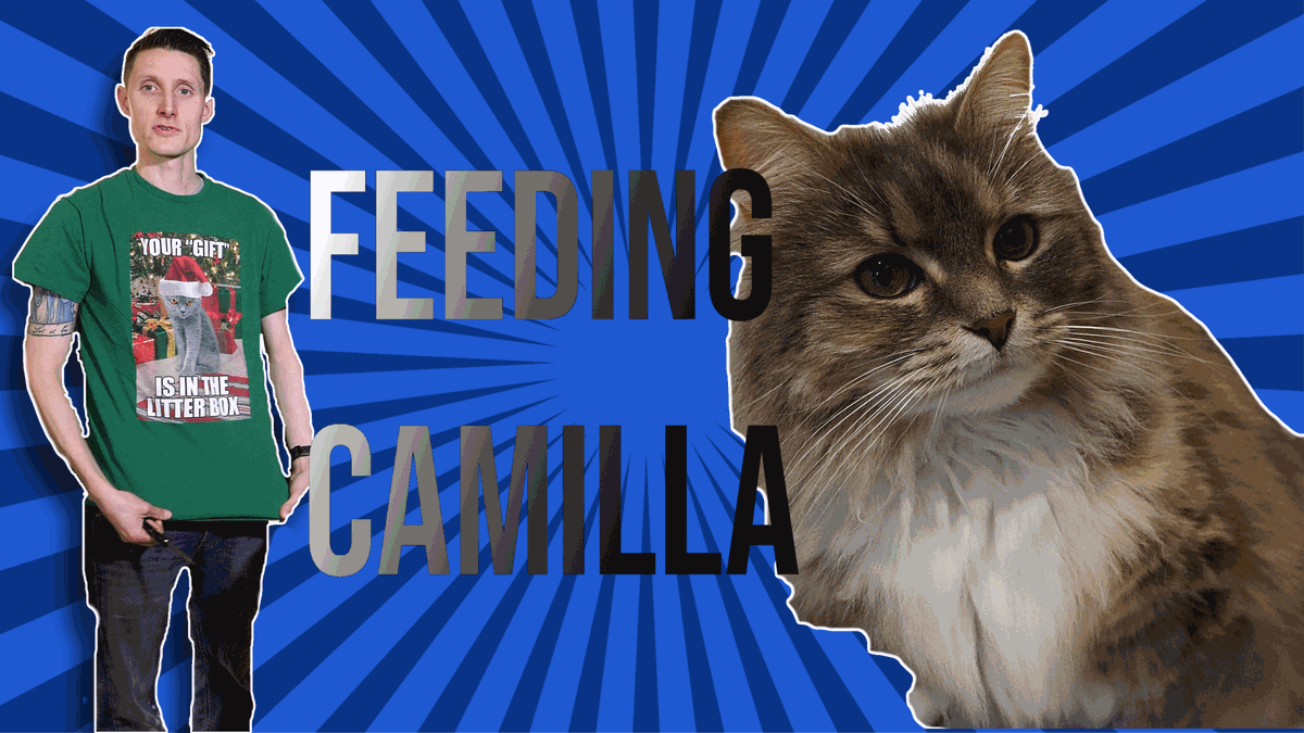 PizzlesTechTime's tweet photo. 🔥🔥 New video is live! I feed Camilla Live in this Video and explain why I feed her Wet Food. It was a blast making it lol 😼😻
#cattube #PizzlesCatTime #PizzlesTechTime #NewVideo #YouTuber #SmallYouTubeArmy #Caturday 
https://t.co/zCR5bqkZlG https://t.co/S2jsg9i1Bo